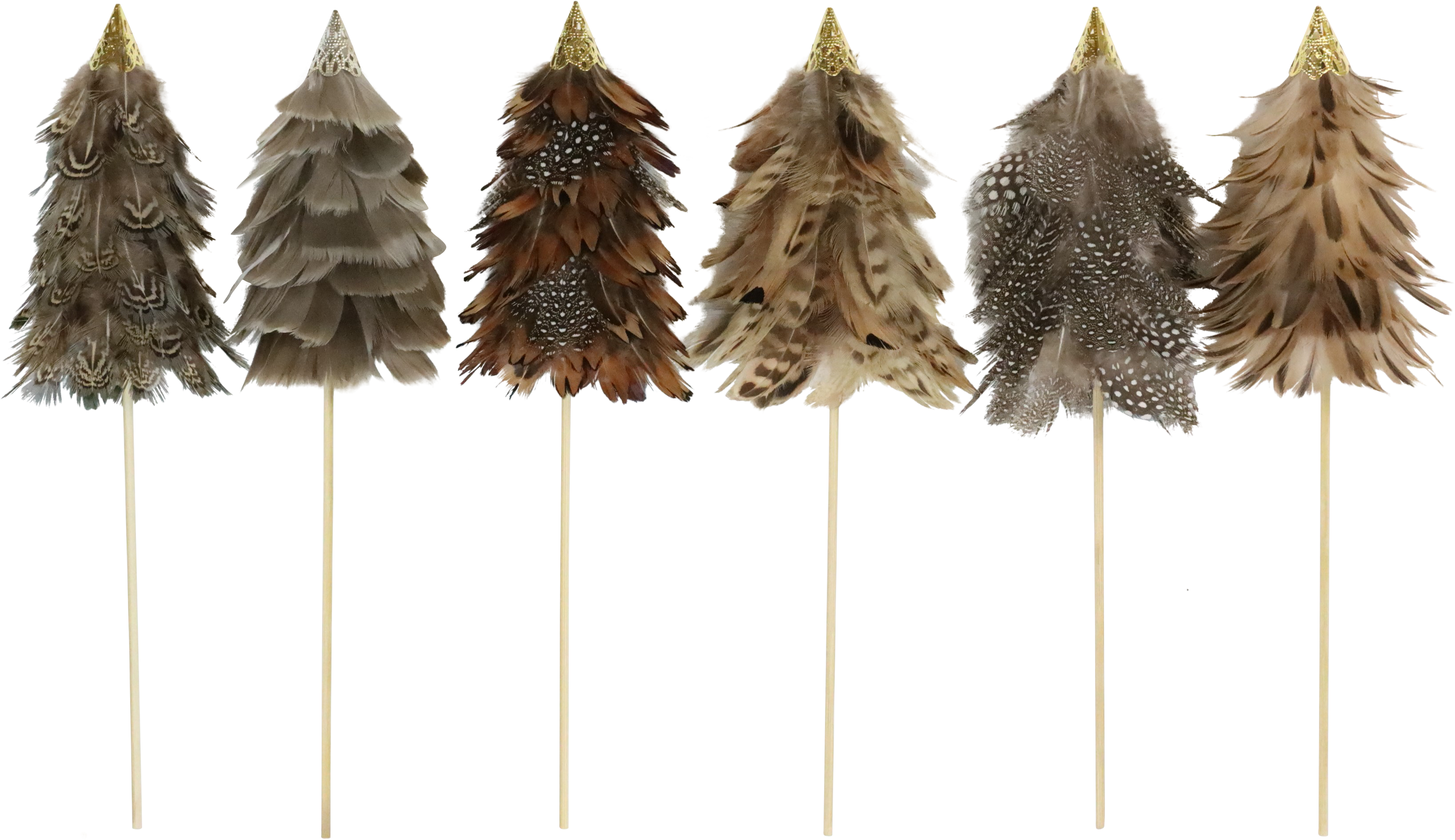 1005 ALBERI STICK  FEDERBÄUME  6PZ