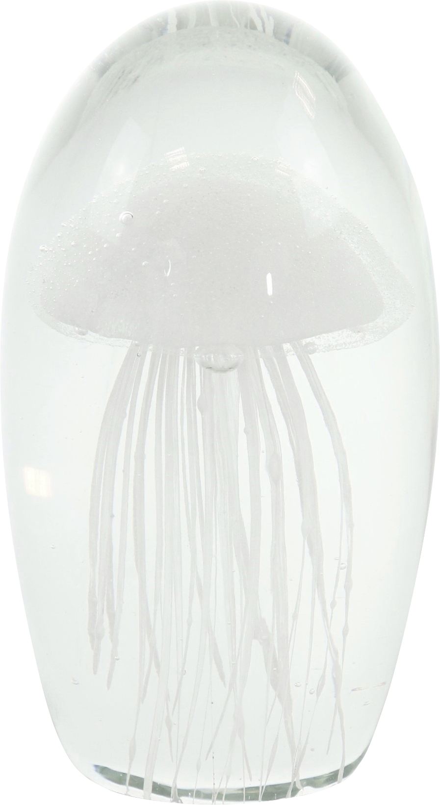 1206 FERMACARTE  MEDUSA