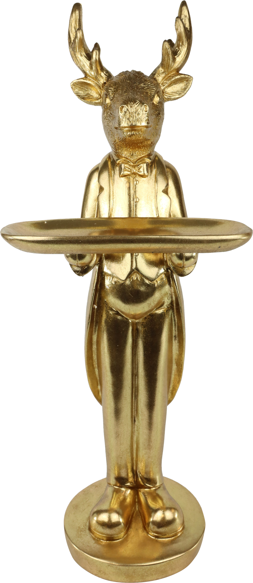 1379 MAYORDOMO  HIRSCH