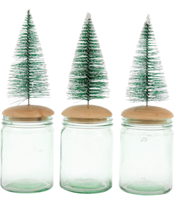 2017 GLASS CANISTER BAUM  S/3