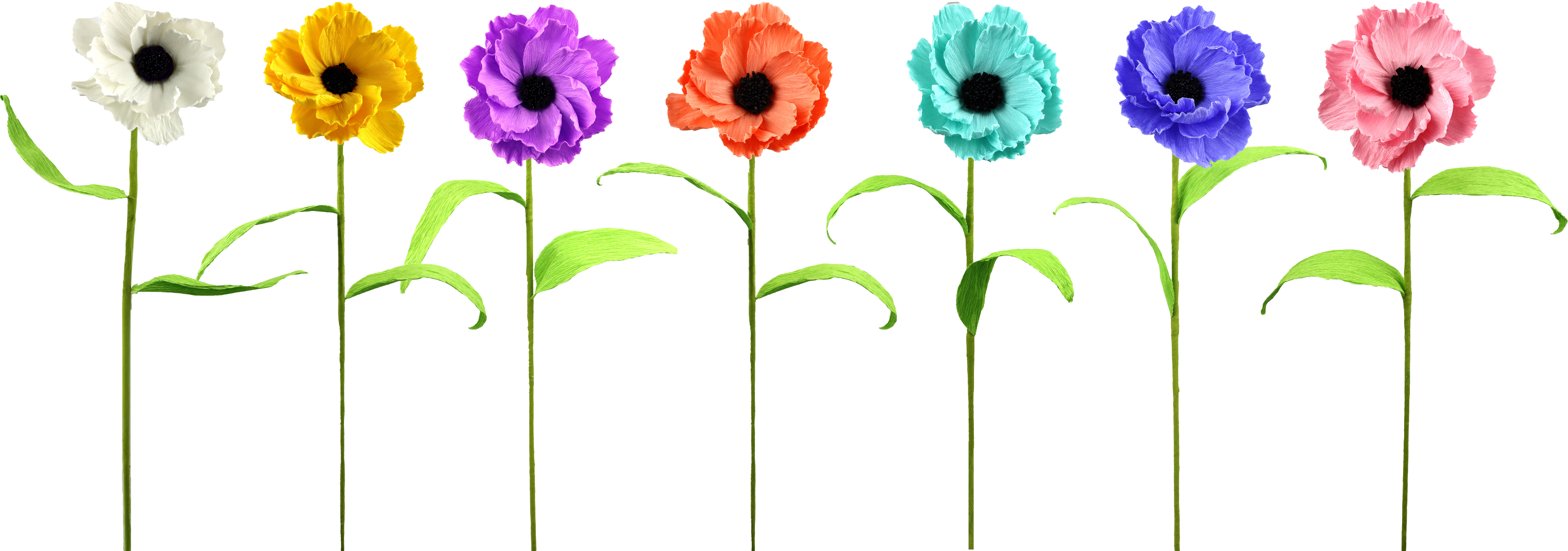 2099 BOUQUET DI FIORI ANEMONE  7PZ