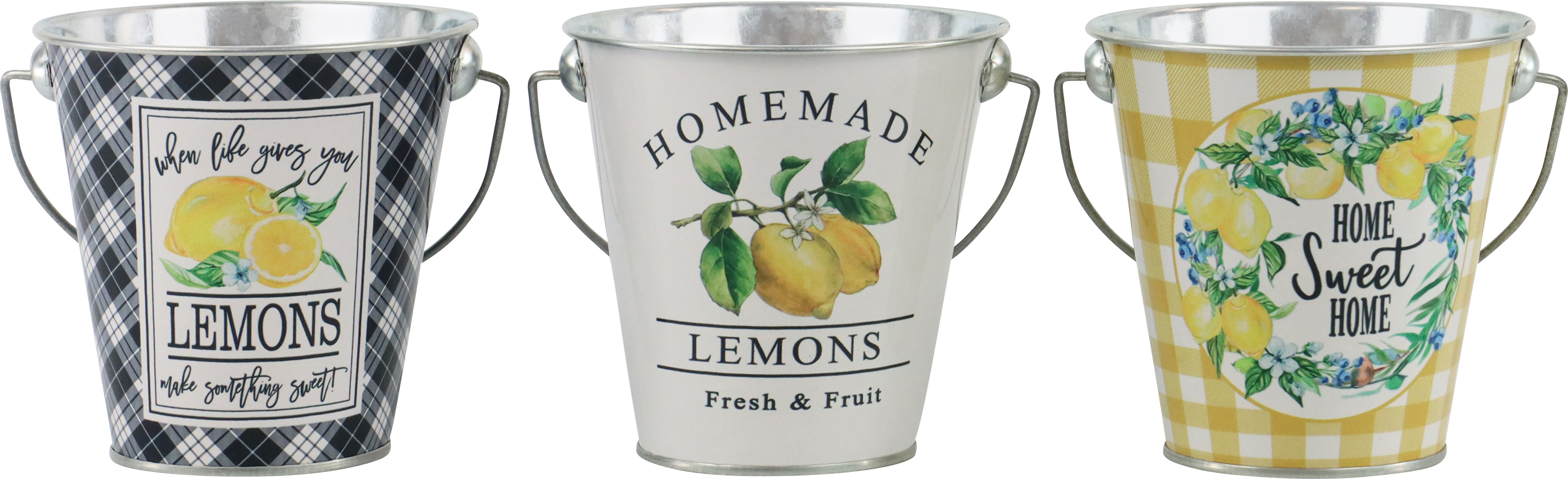 2104 SECCHIO MANICO SWEET LEMON  3PZ