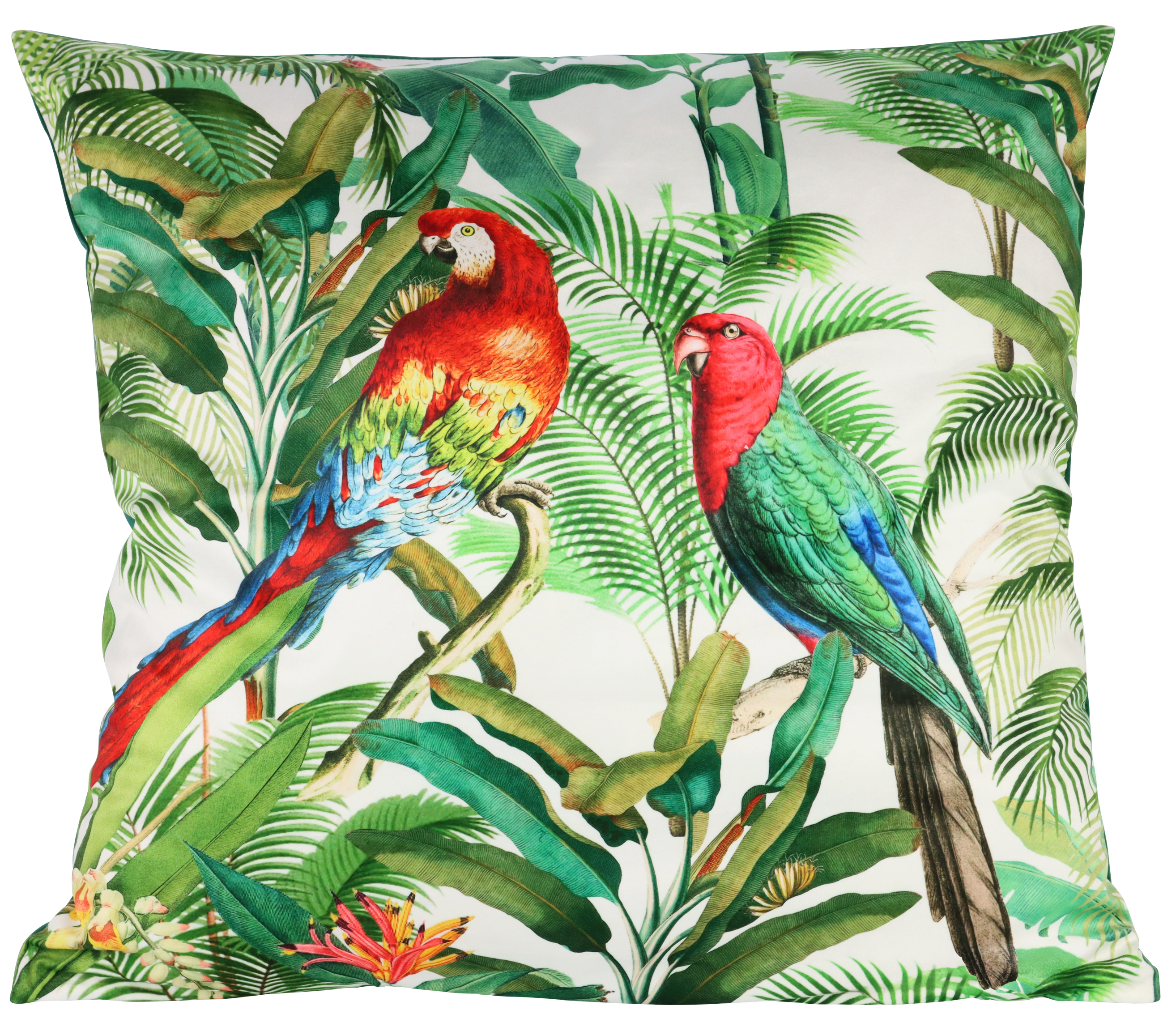 2127 COPRIPIUMINO PARROTS  60X60