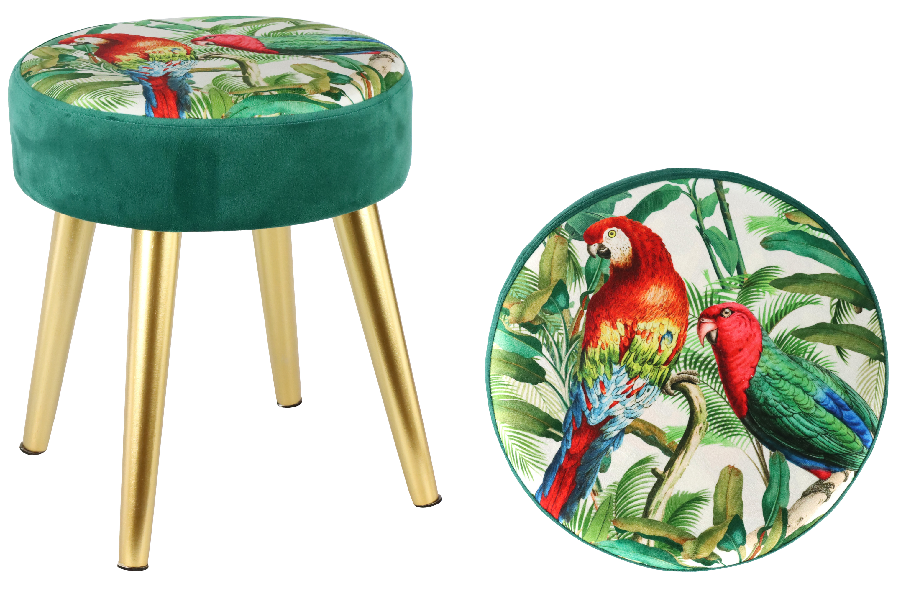 2146 CIOCCIOLI PARROTS