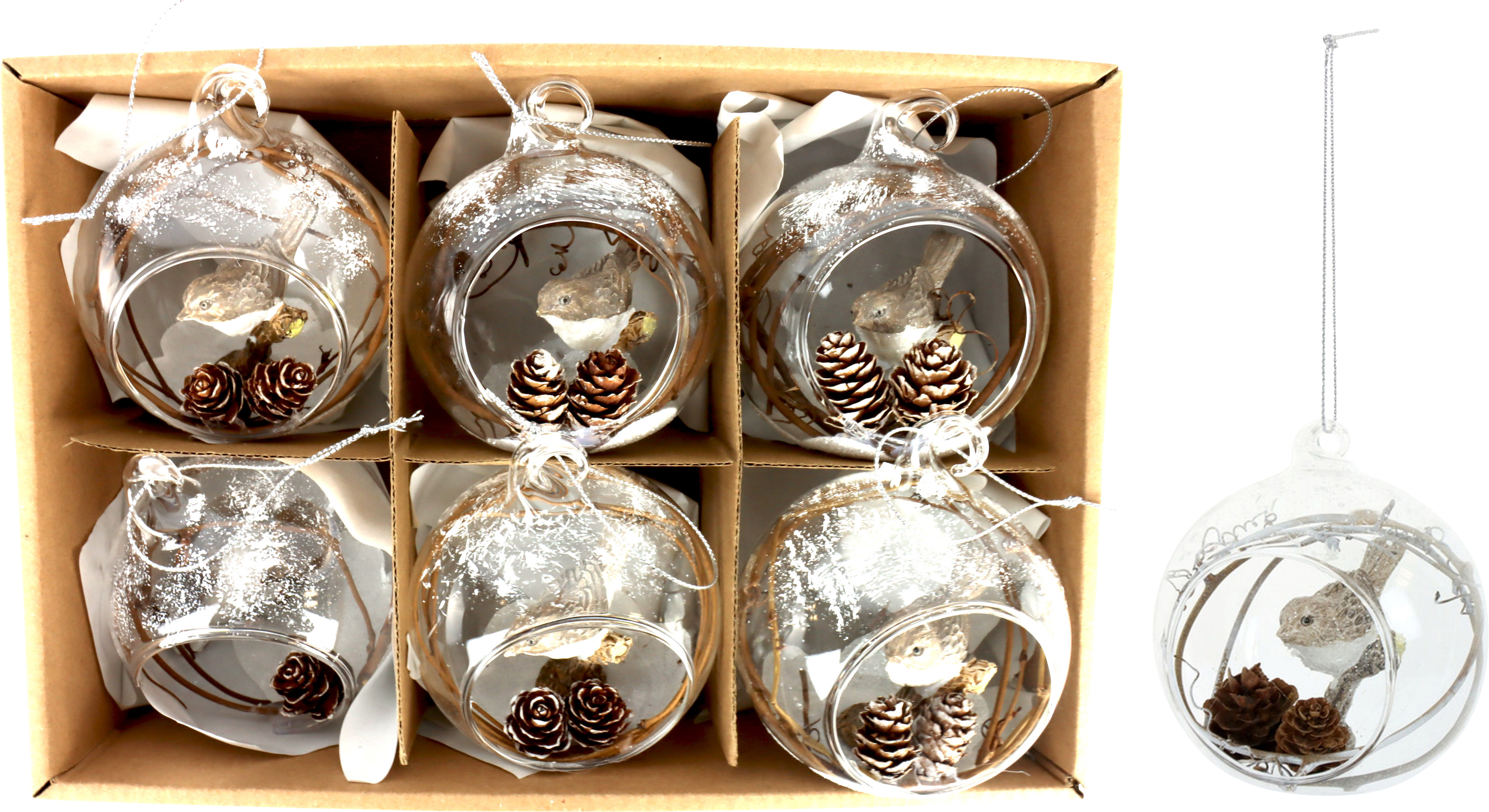 2198 GLASSBALLS ZAUNKÖNIG  S/6