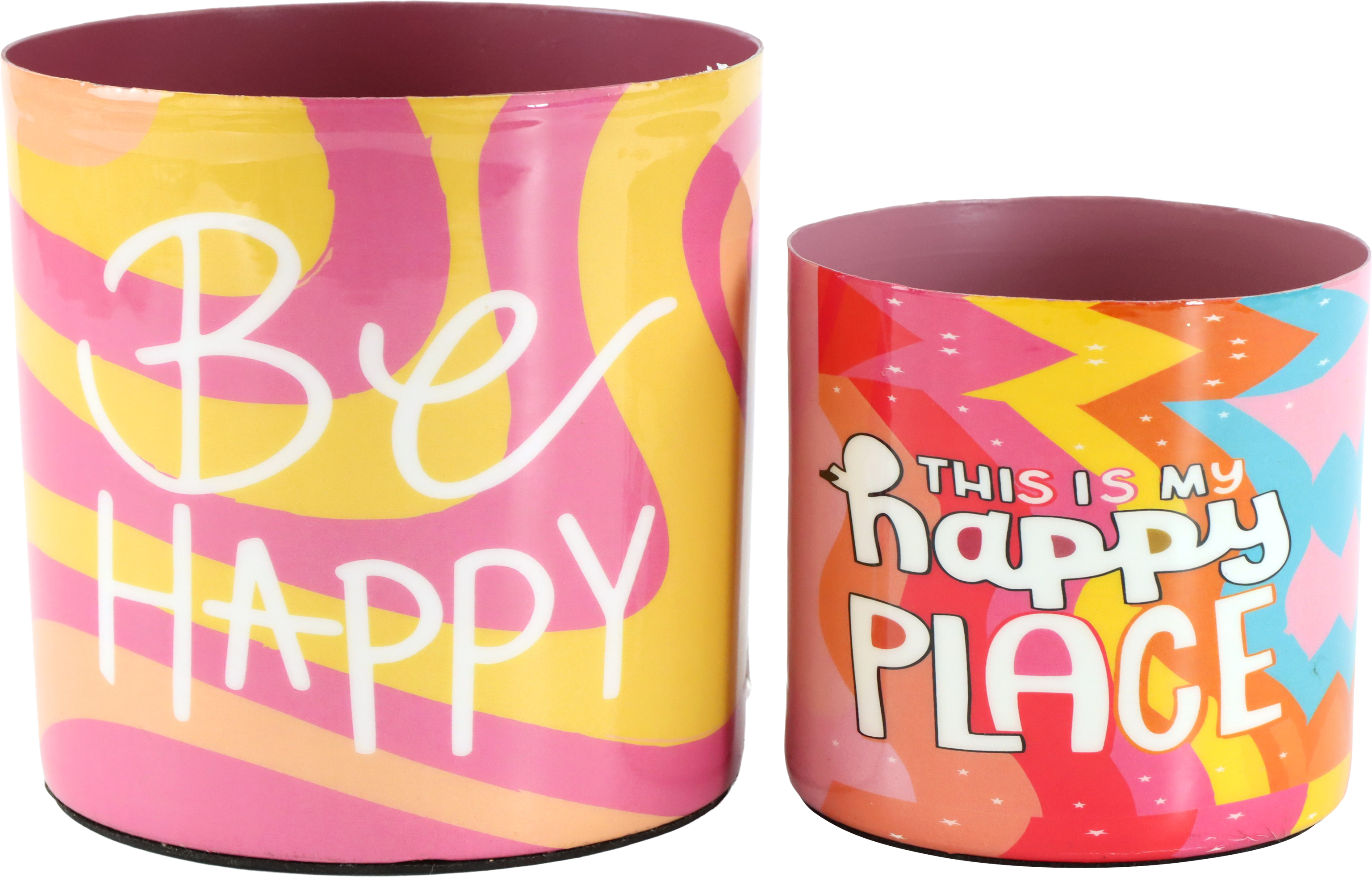 2316 FLOWERPOTS COLOR POP  S/2