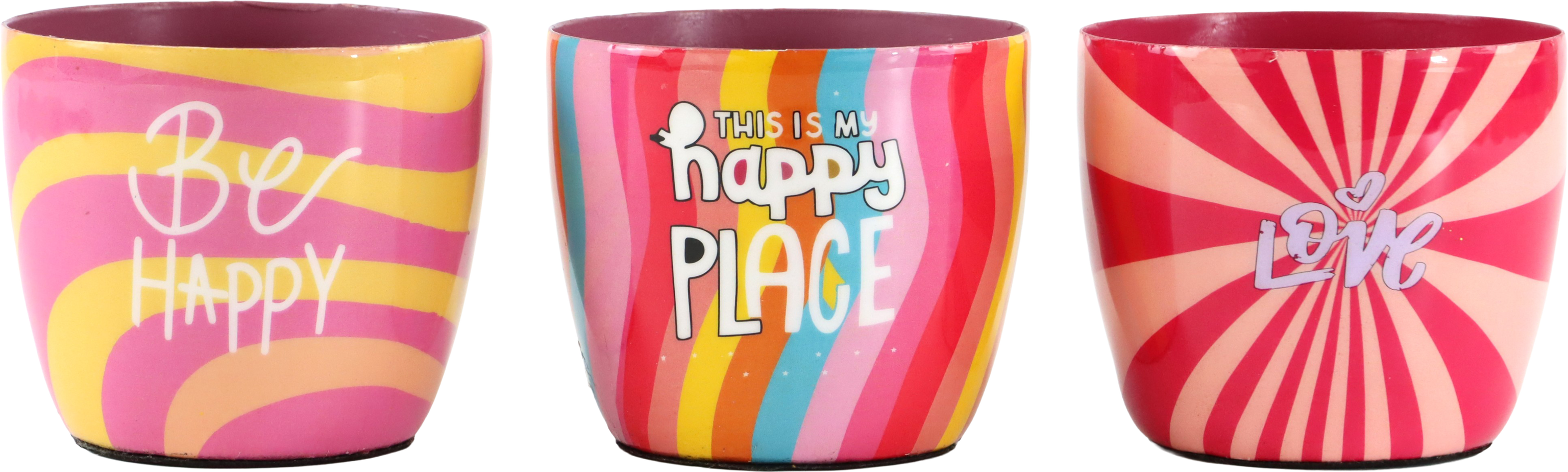 2319 FLOWERPOTS COLOR POP  S/3