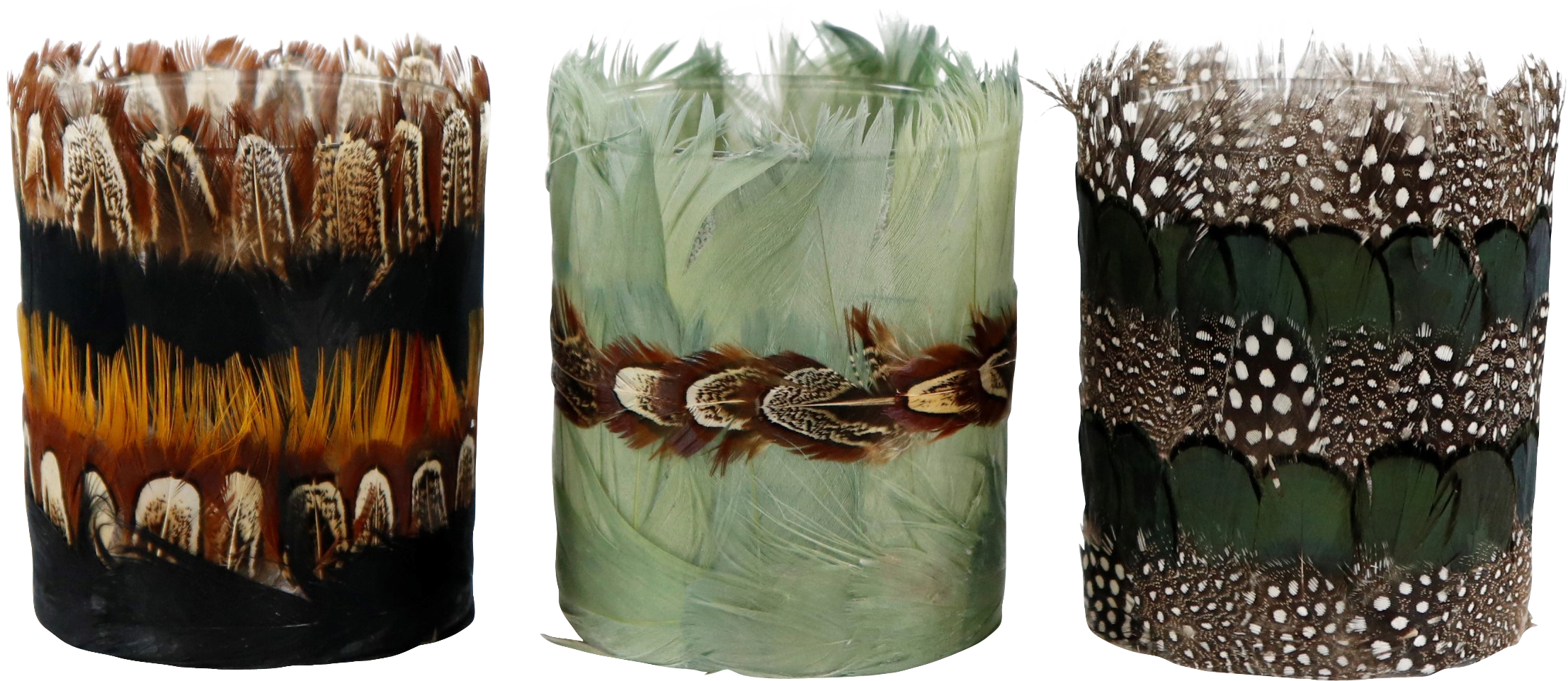 2369 PHOTOPHORES  FEATHERS  3P