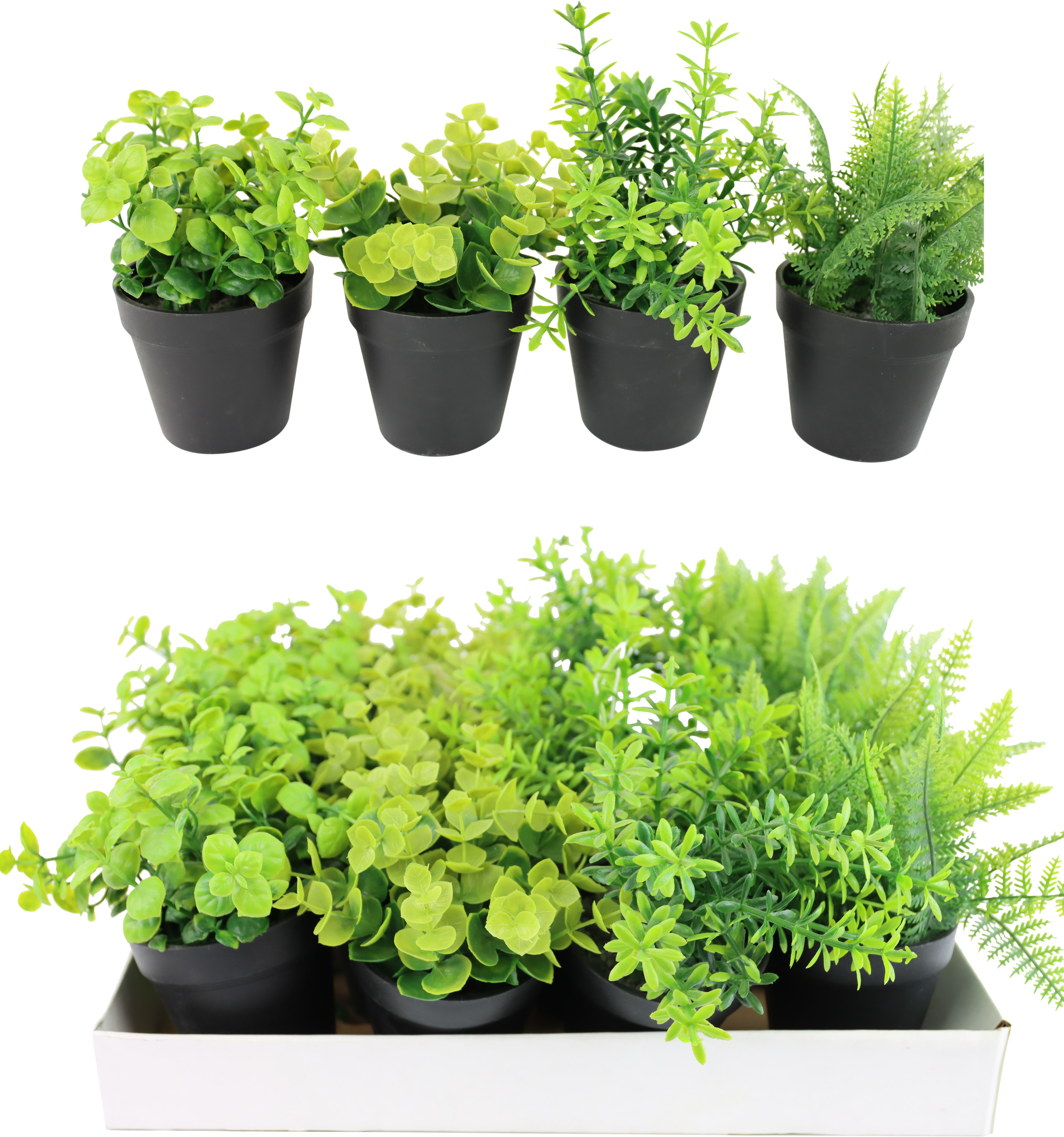 2418 SCATOLA ESPOSITIV KÄUTERTÖPFE  16PZ