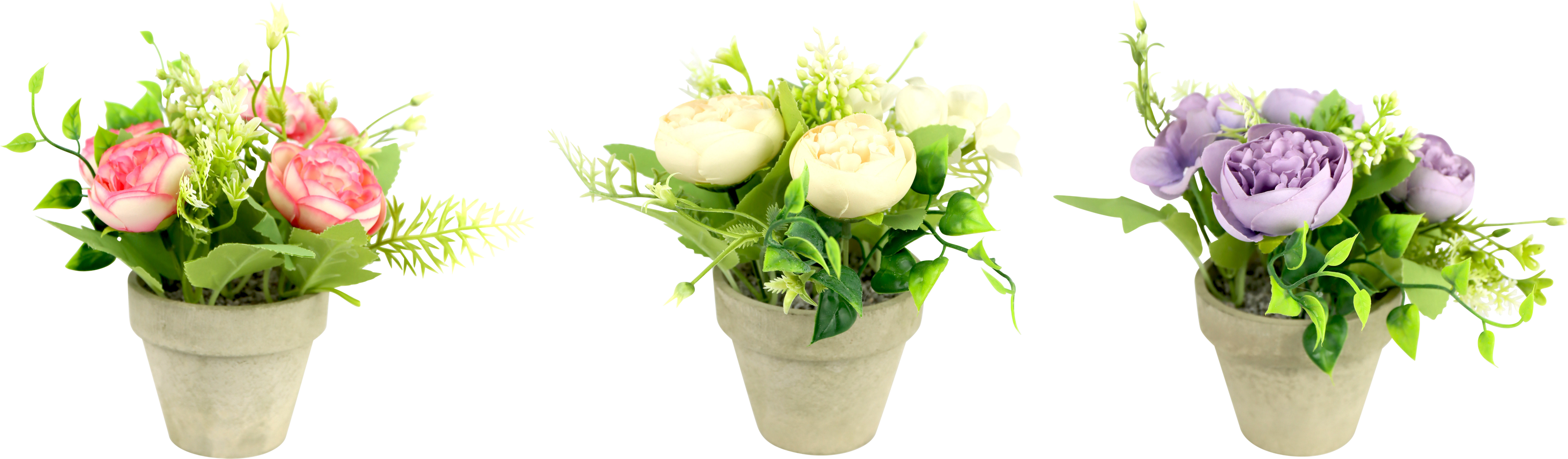 2432 BLUMENTÖPFE RANUNKELN  S/3