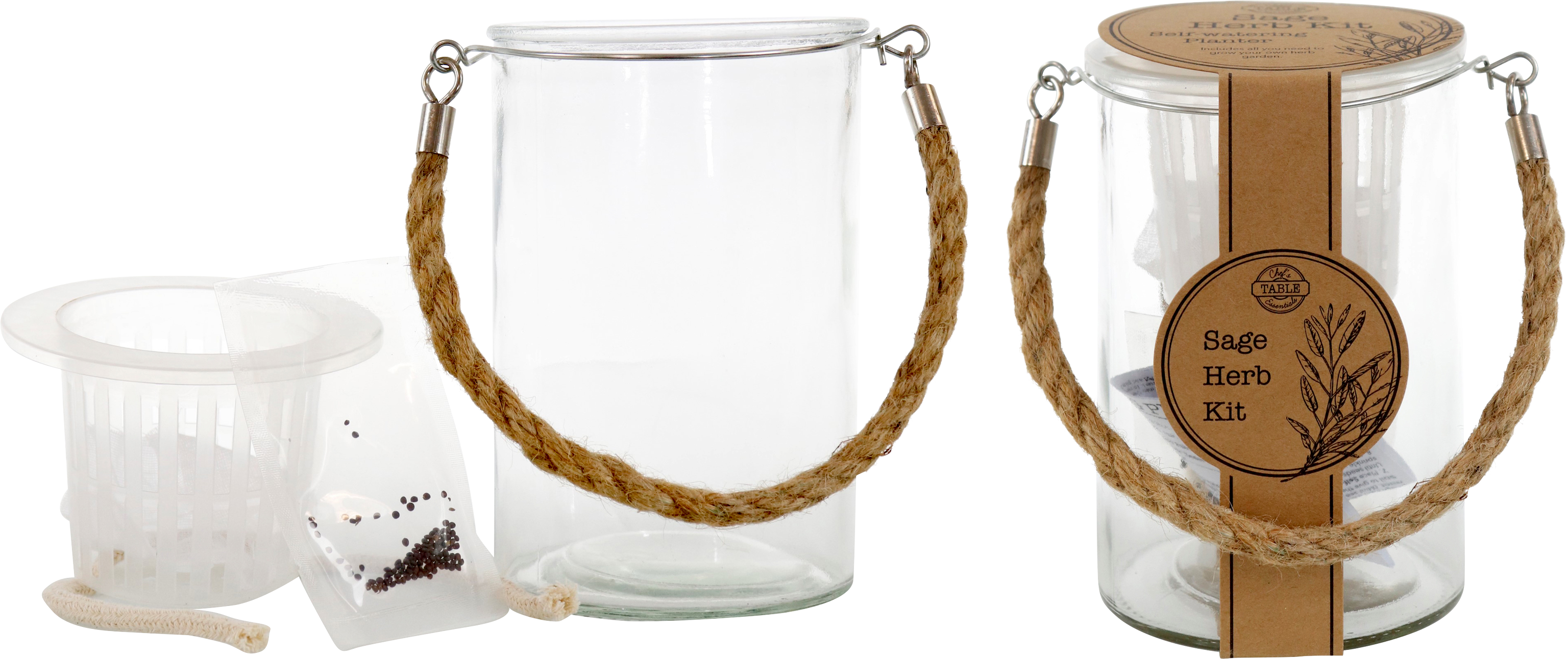 3133 BARATTOLO SPEZIE  SALBEI