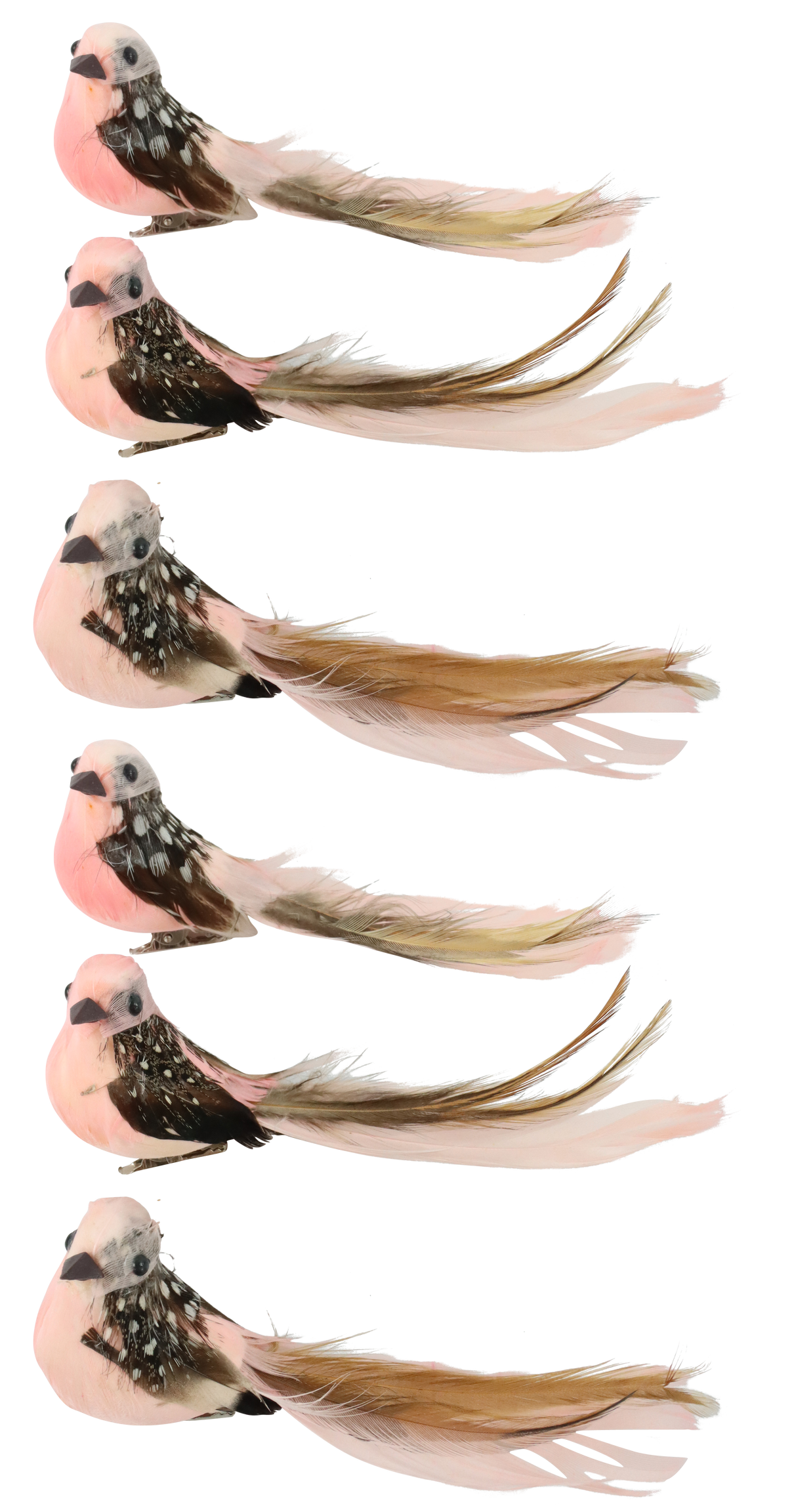 3213 UCCELLINI  BIRDY  6PZ