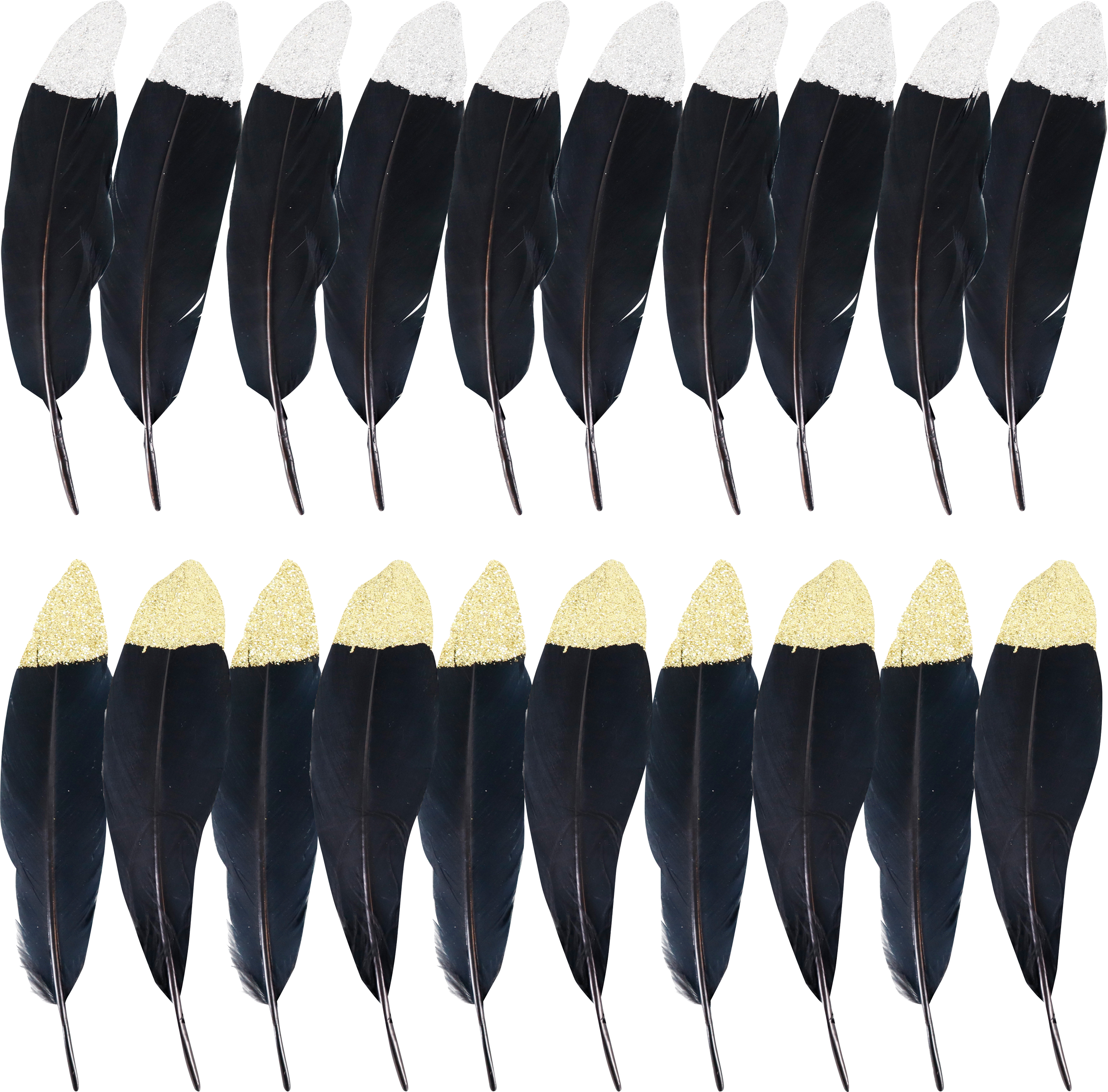 3313 PIUME  NOIR  20PZ