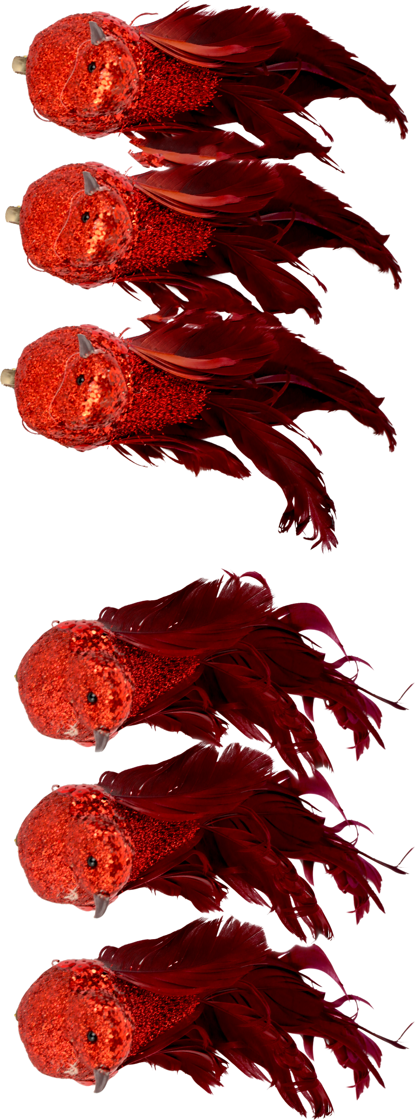 3467 UCCELLINI  FEDERSTOLZ  6PZ