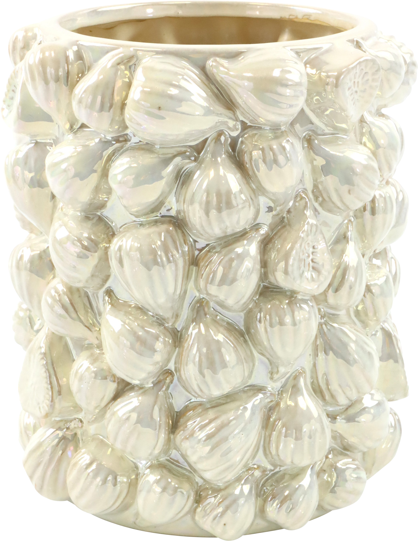 3567 VASENOBJEKT FICUS