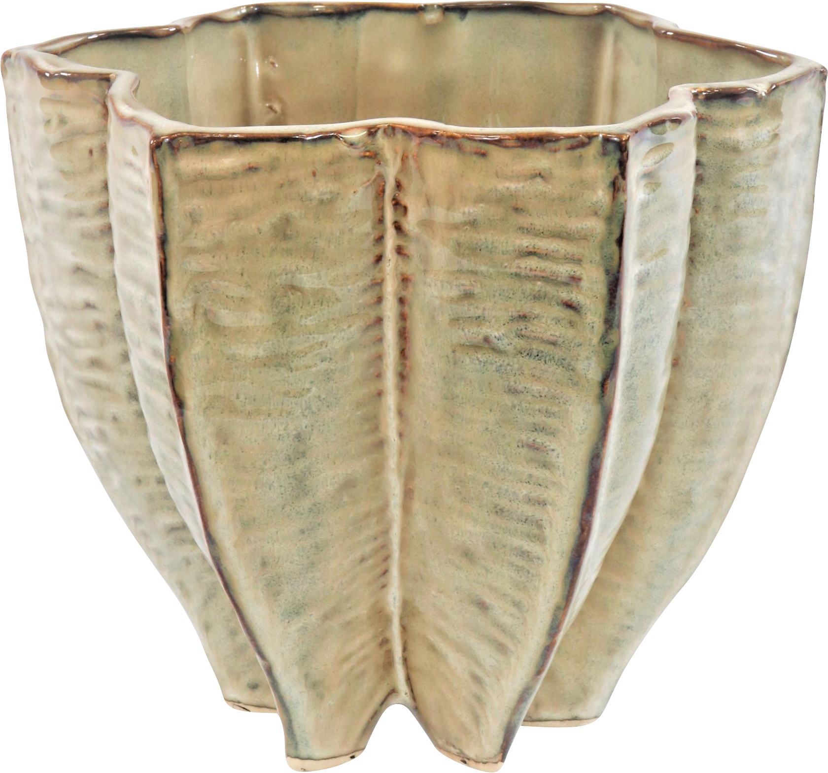 4193 MACETA  CARAMBOLA