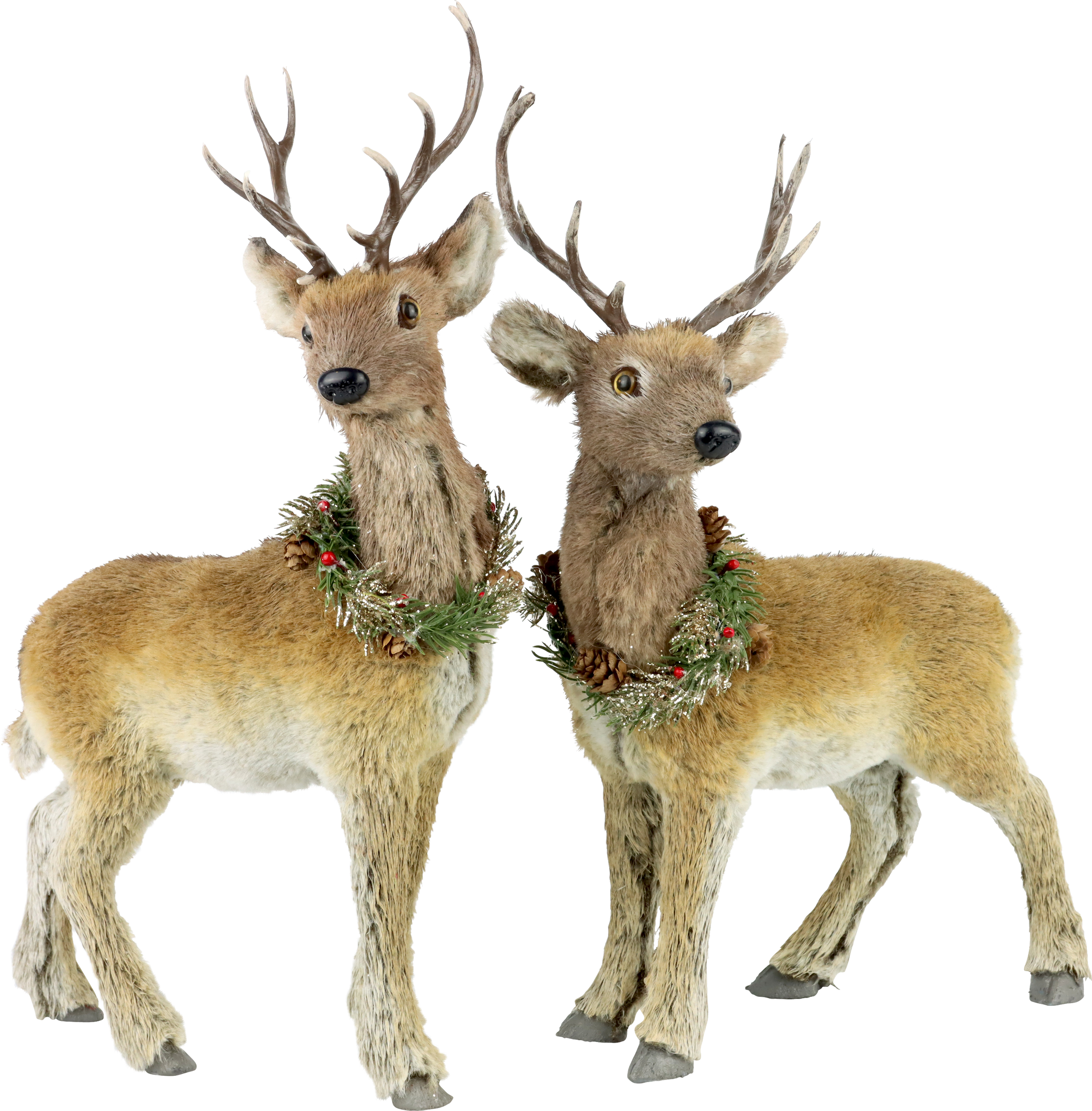 4404 REINDEER GREENWOOD  S/2