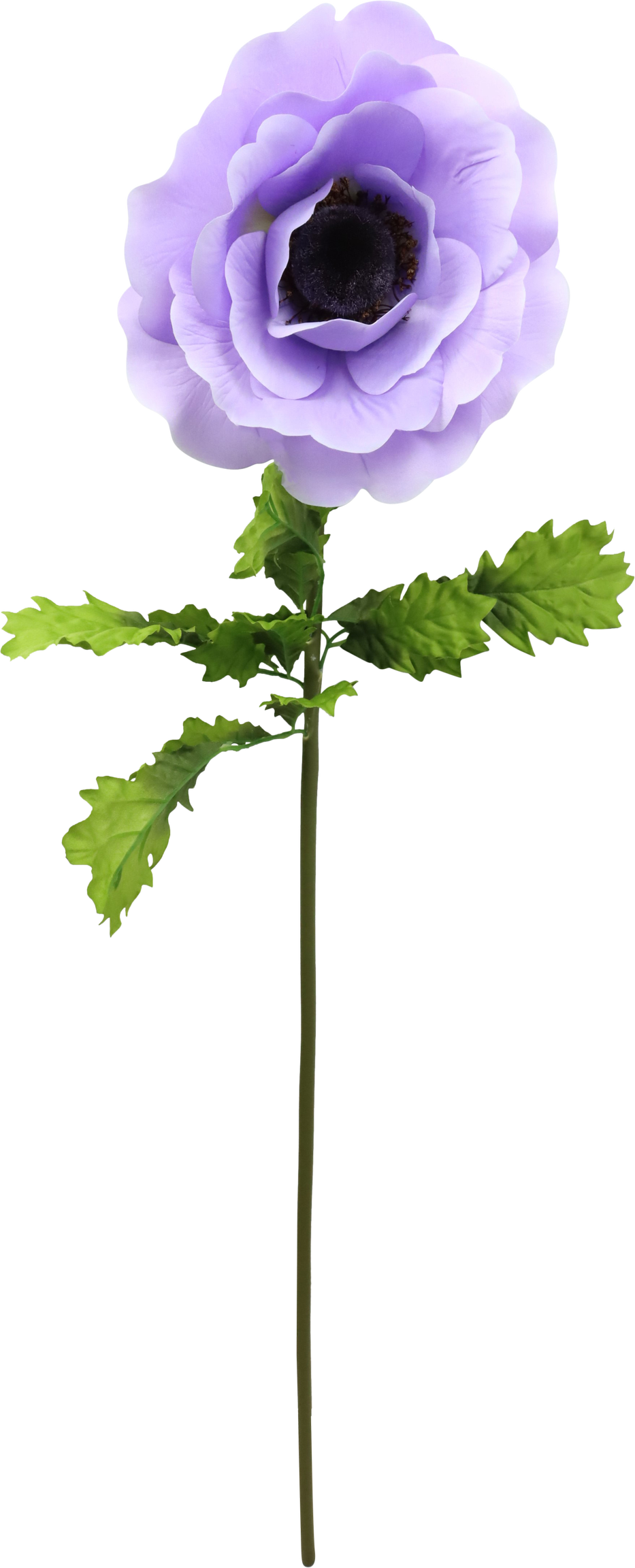 4777 FIORE GIGANTE ANEMONE