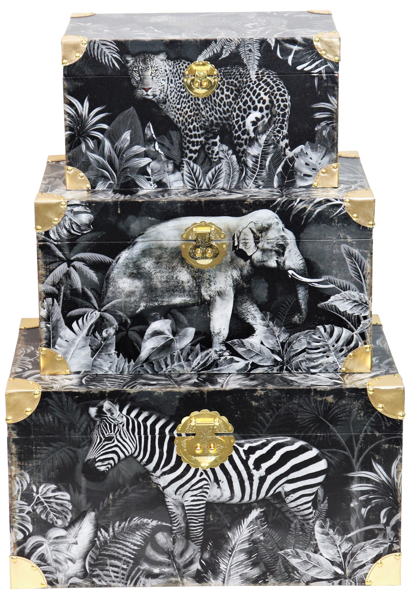 4795 BAULI  SAFARI  3PZ