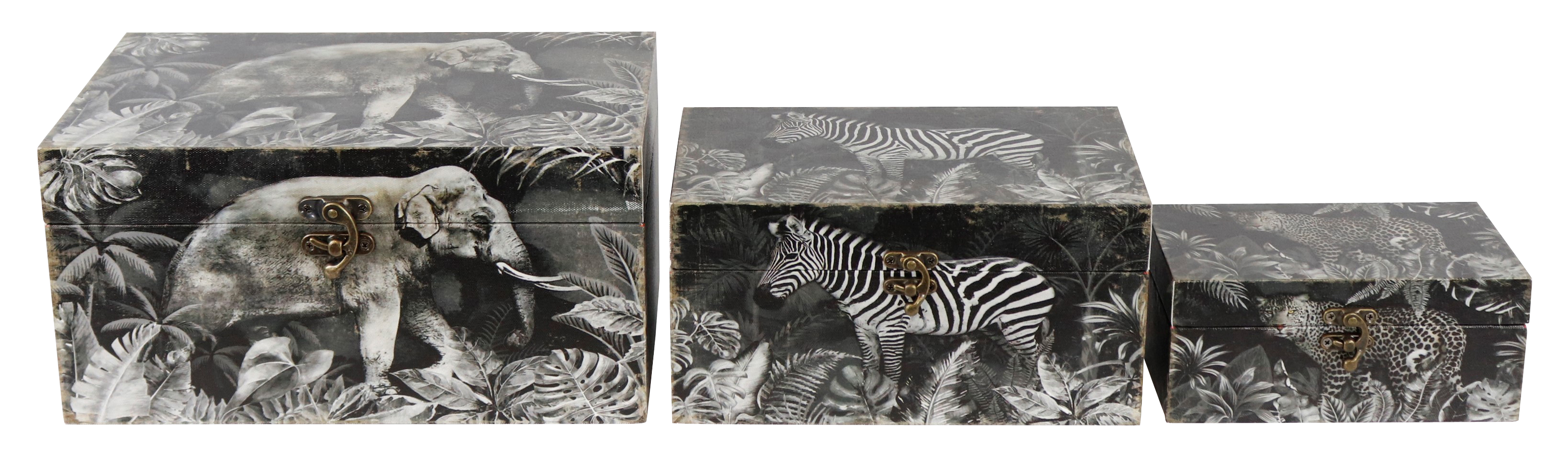 4796 CESTAS  SAFARI  S/3