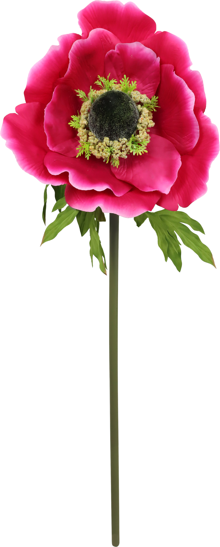 4912 FIORE GIGANTE ANEMONE