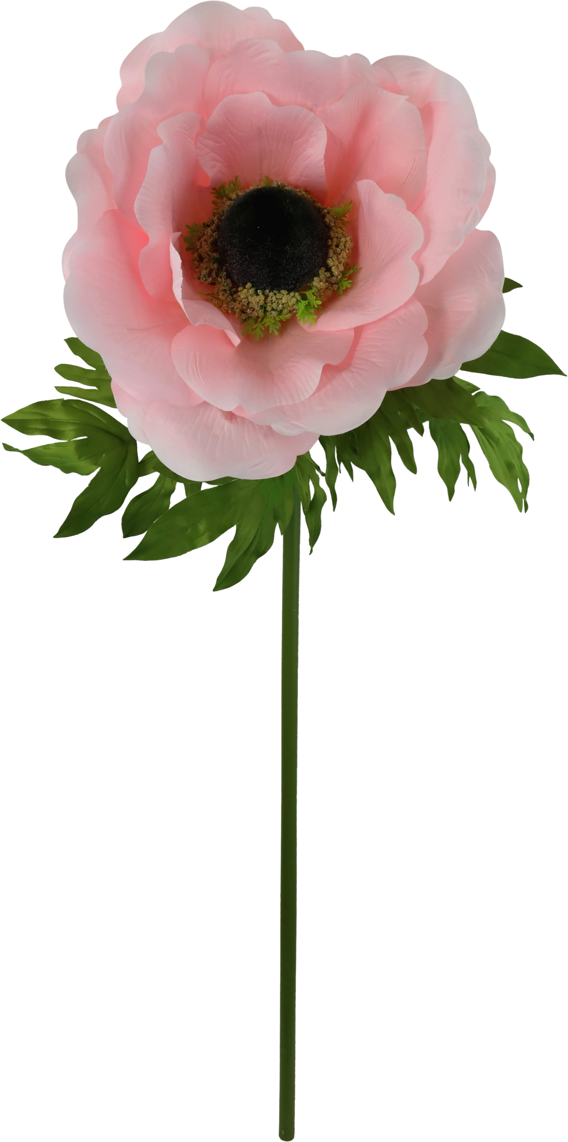4921 FIORE GIGANTE ANEMONE