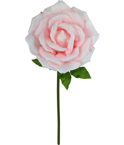 4961 GIANT FLOWER  ROSE