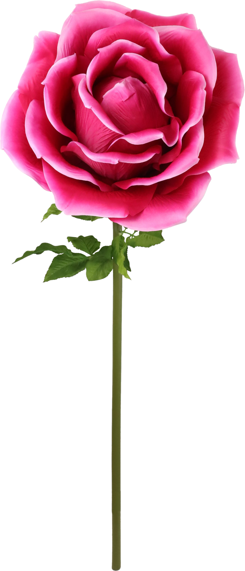 4975 FIORE GIGANTE ROSA