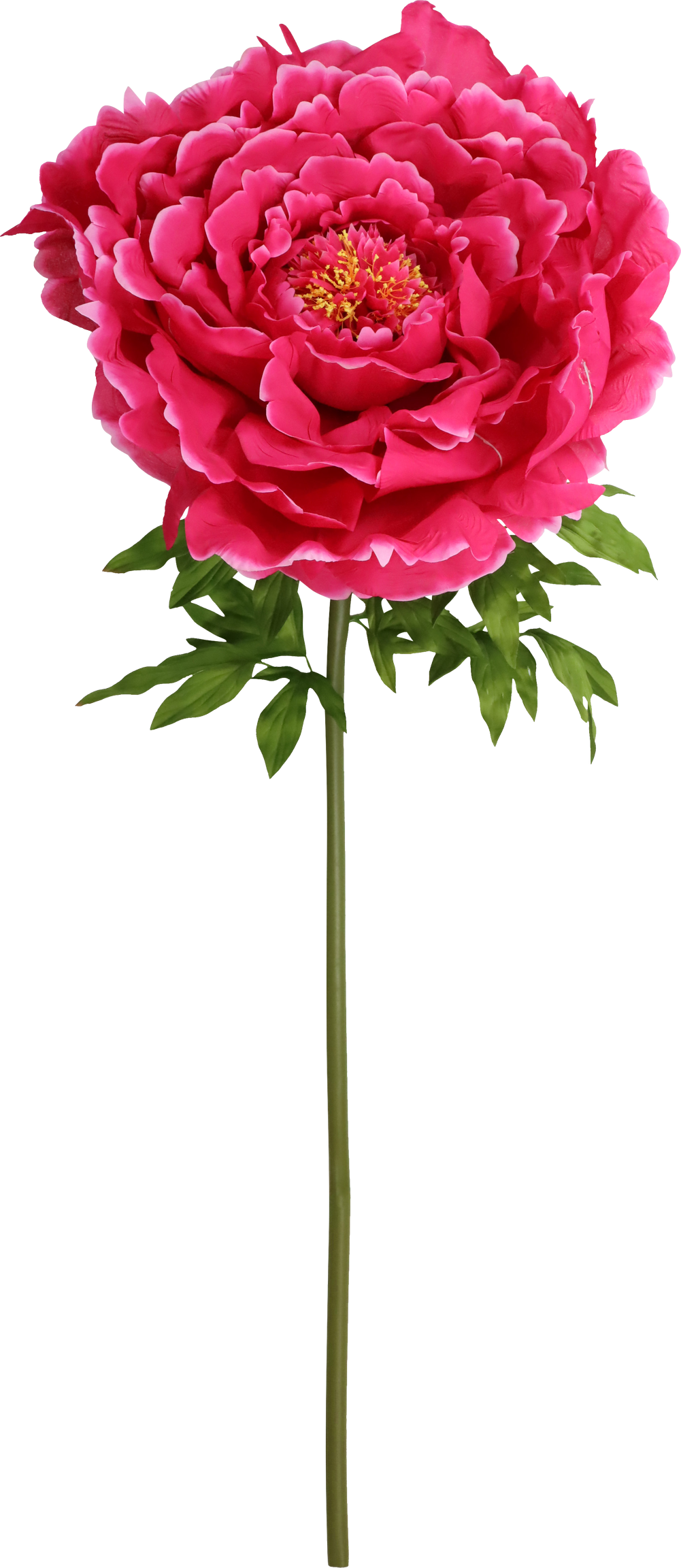 4990 FIORE GIGANTE ROSE