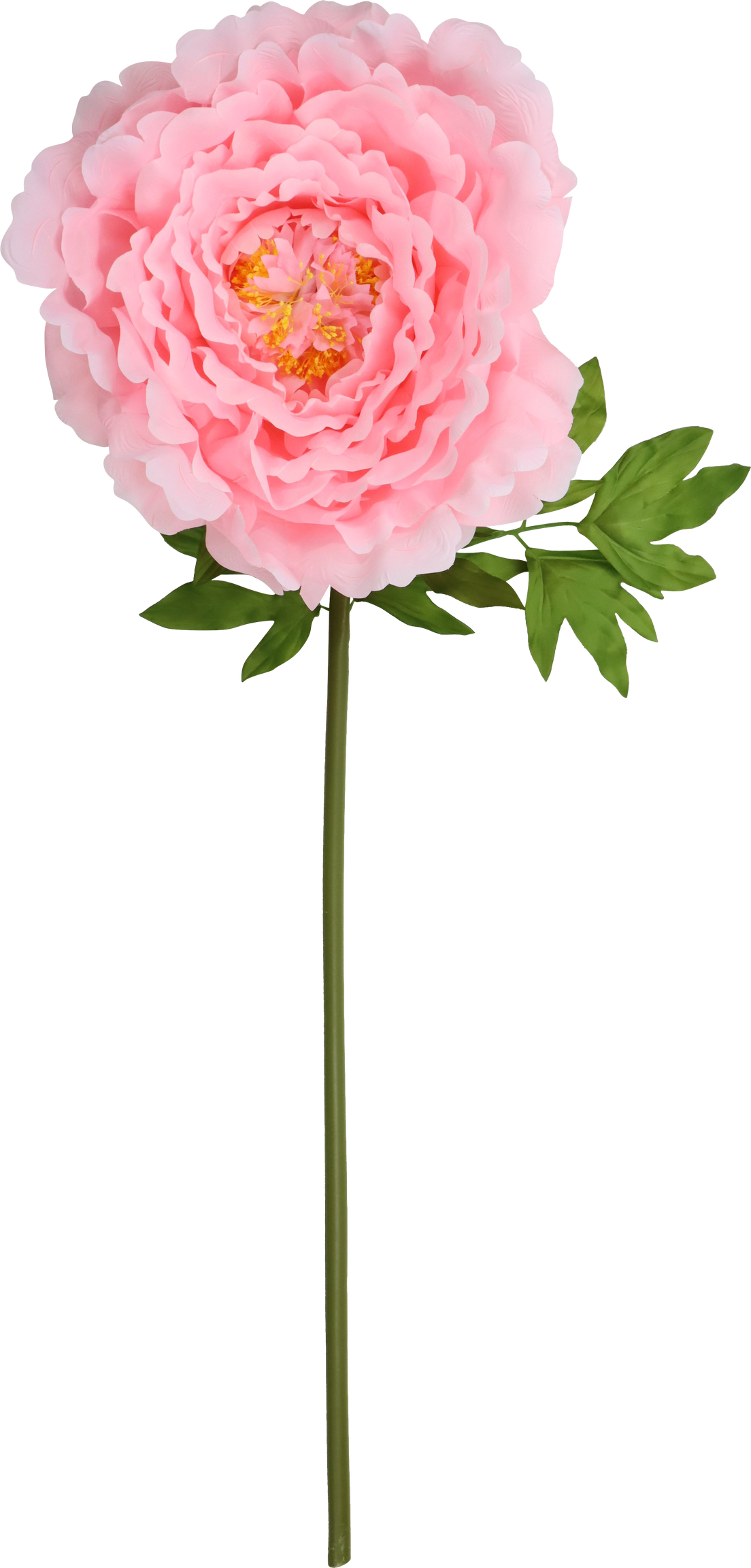 4992 FIORE GIGANTE ROSE