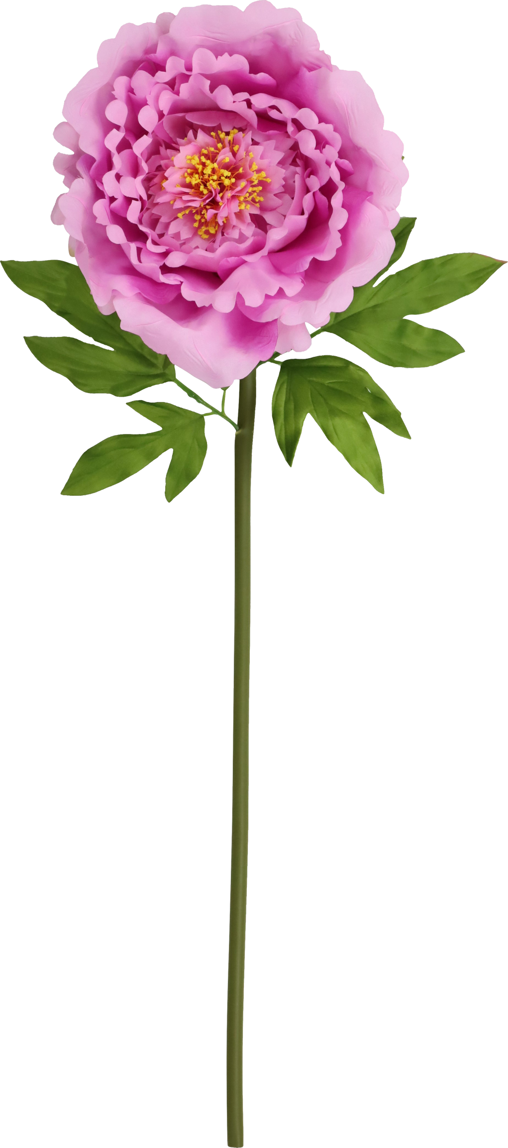 4993 FIORE GIGANTE ROSE