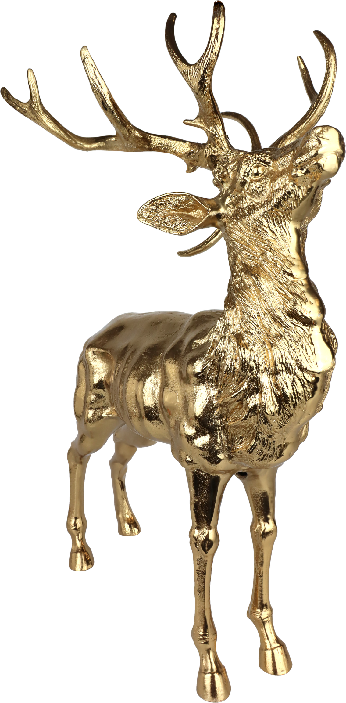 5069 CERISE GOLDEN MAJESTY