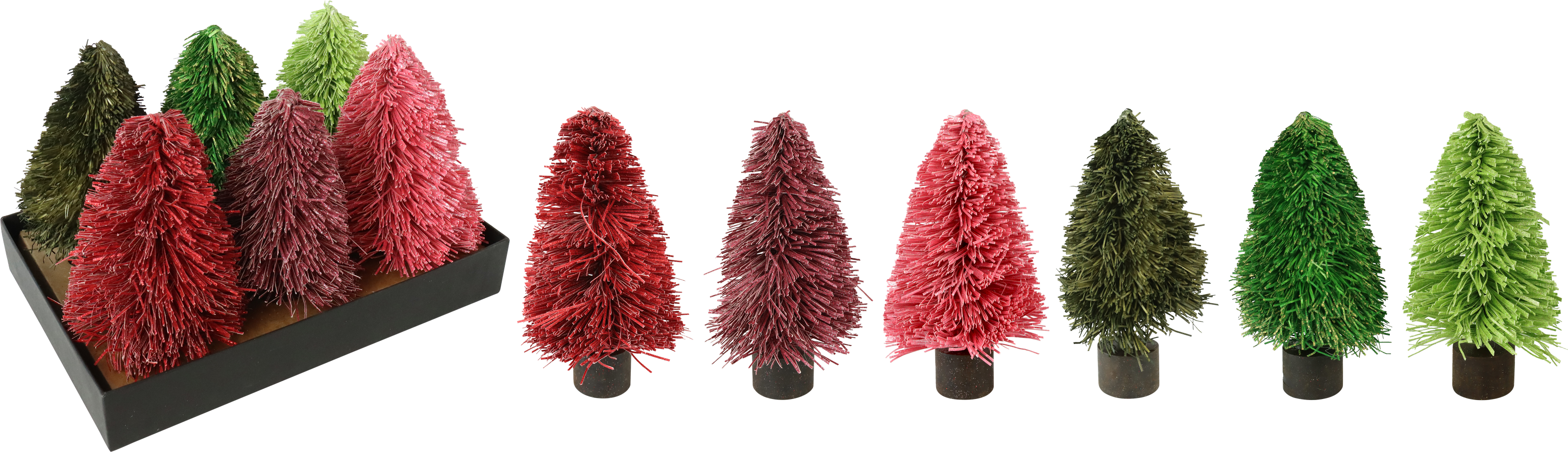 5158 TREE FRILL  S/6