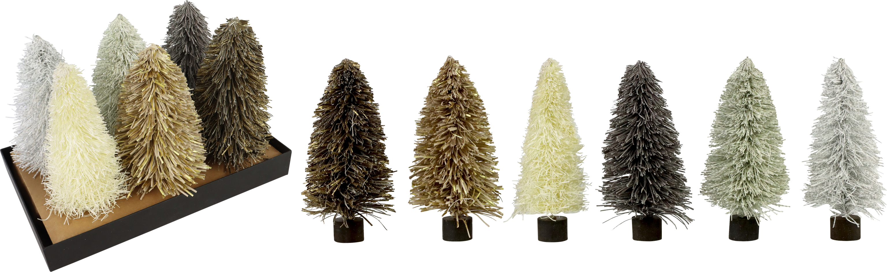 5173 TREE FRILL  S/6