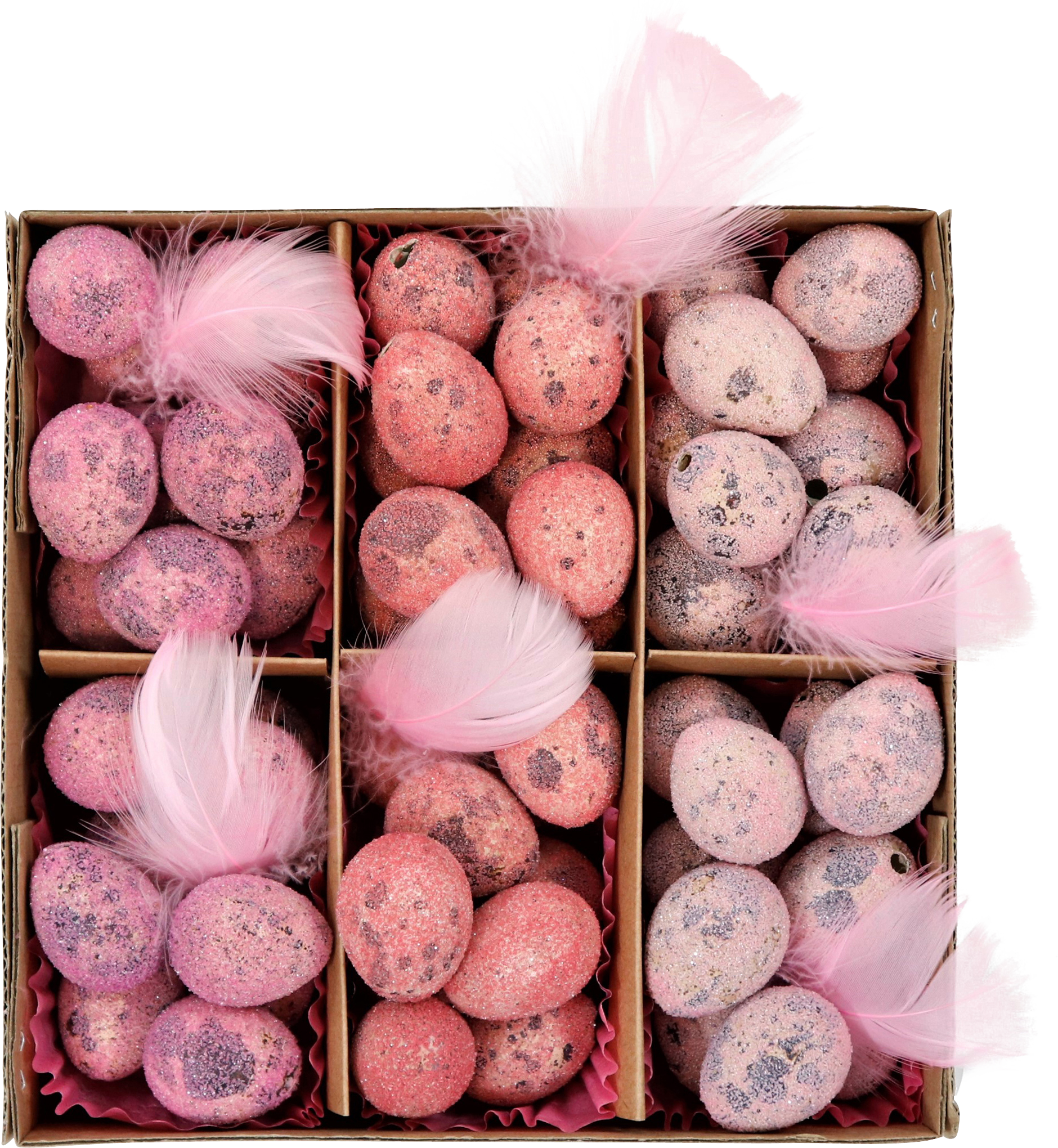 5405 QUAILEGGS IN BOX BLUSHPINK  S/60