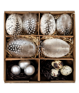 5418 EGGS IN BOX NATURAL SILVER  S/12