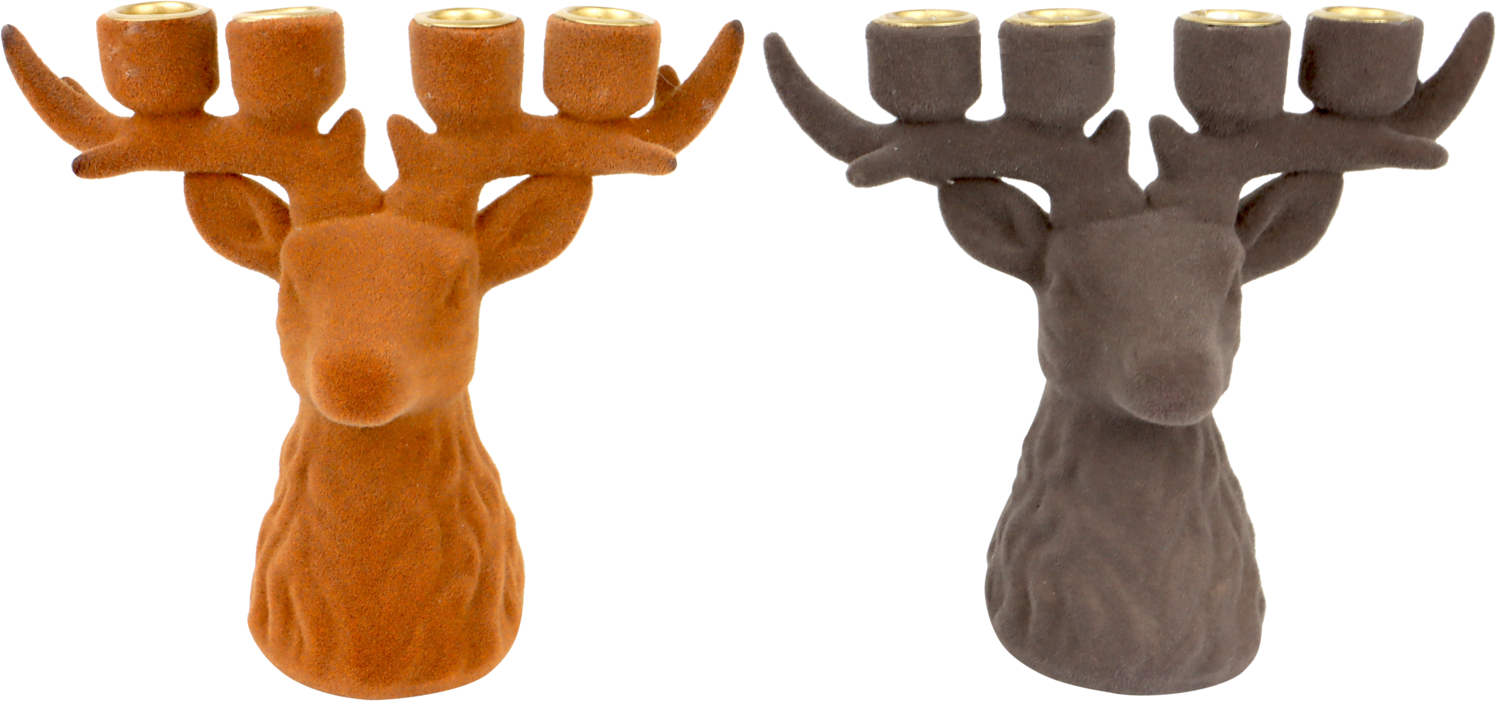 5735 LUZ DEL CIERVO FOREST GLOW  S/2