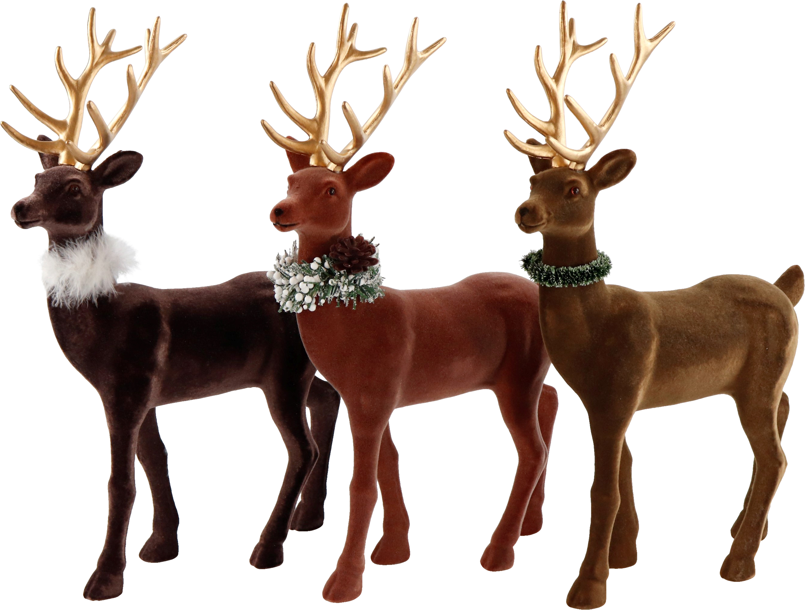 5740 CIERVOS  GINGER  S/3