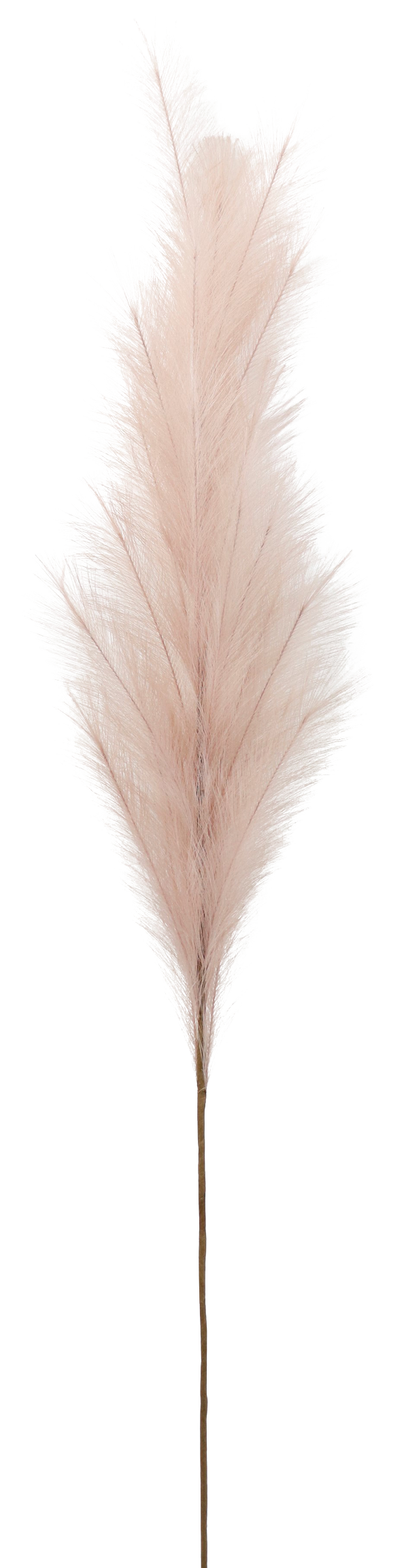 5913 PIUMA  LAVANDEL  170CM