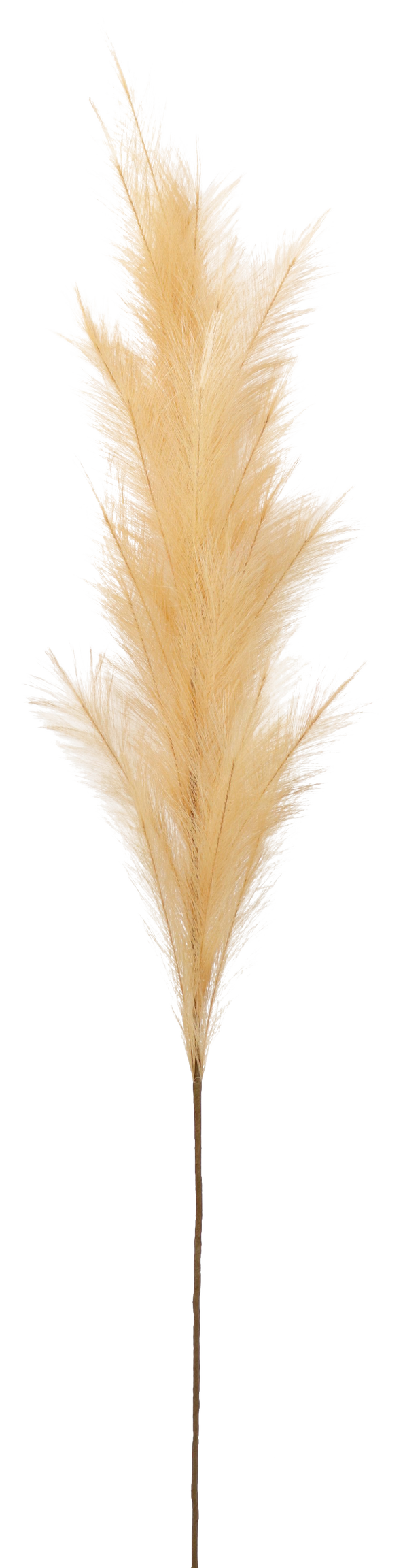 5914 PIUMA  SAND  170CM