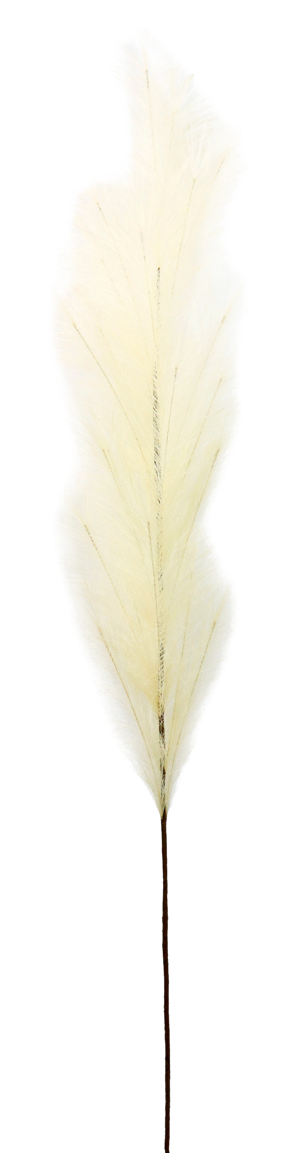 5915 PIUMA  ELFENBEIN  170 CM