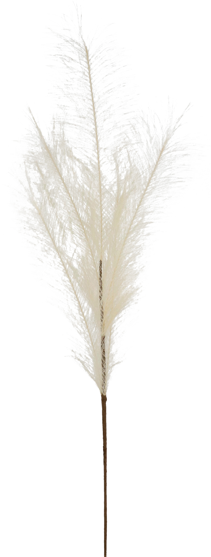 5981 PIUME  ELFENBEIN 80CM