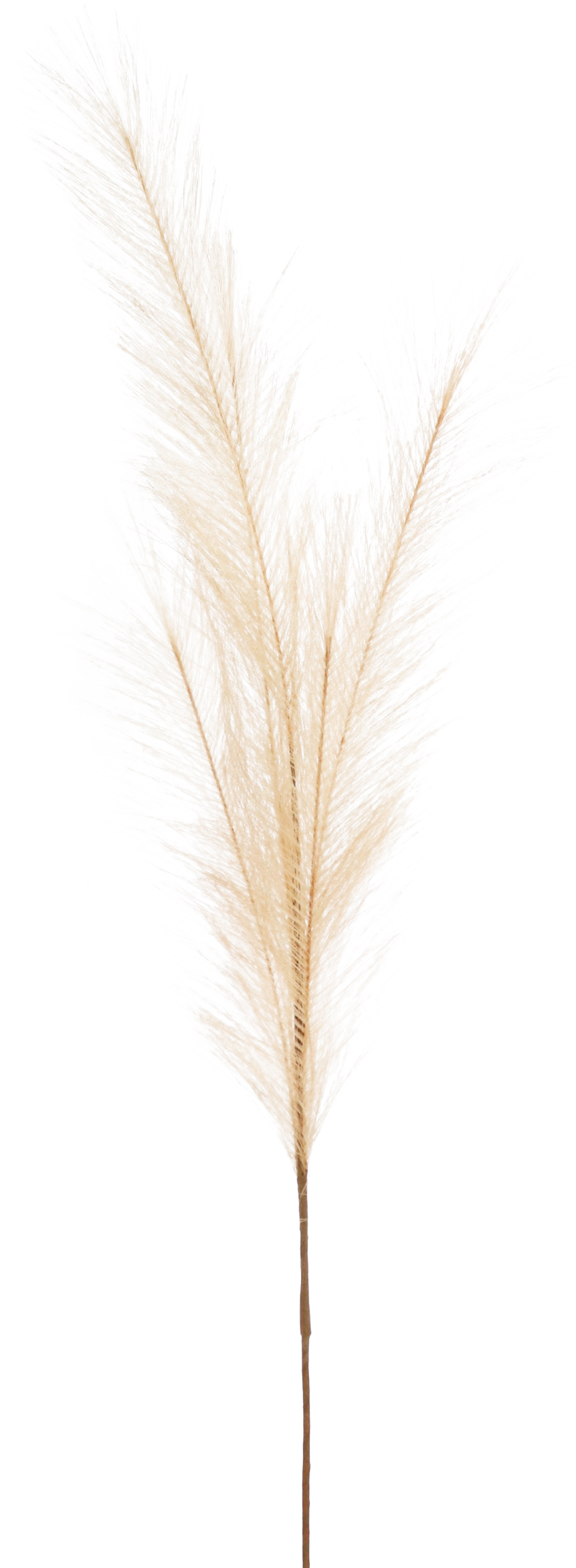 5982 PIUME  SAND 80CM