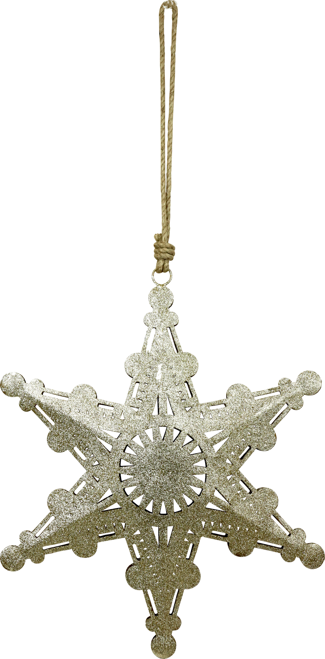 6013 ESTRELLA STARDUST