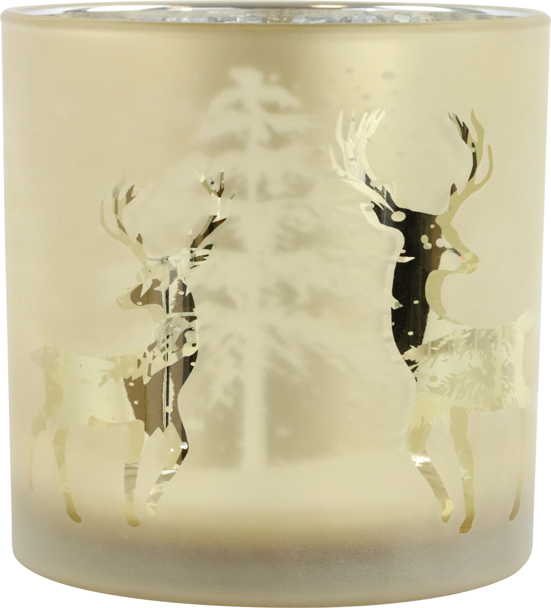 6162 PHOTOPHORE WINTERSZENE