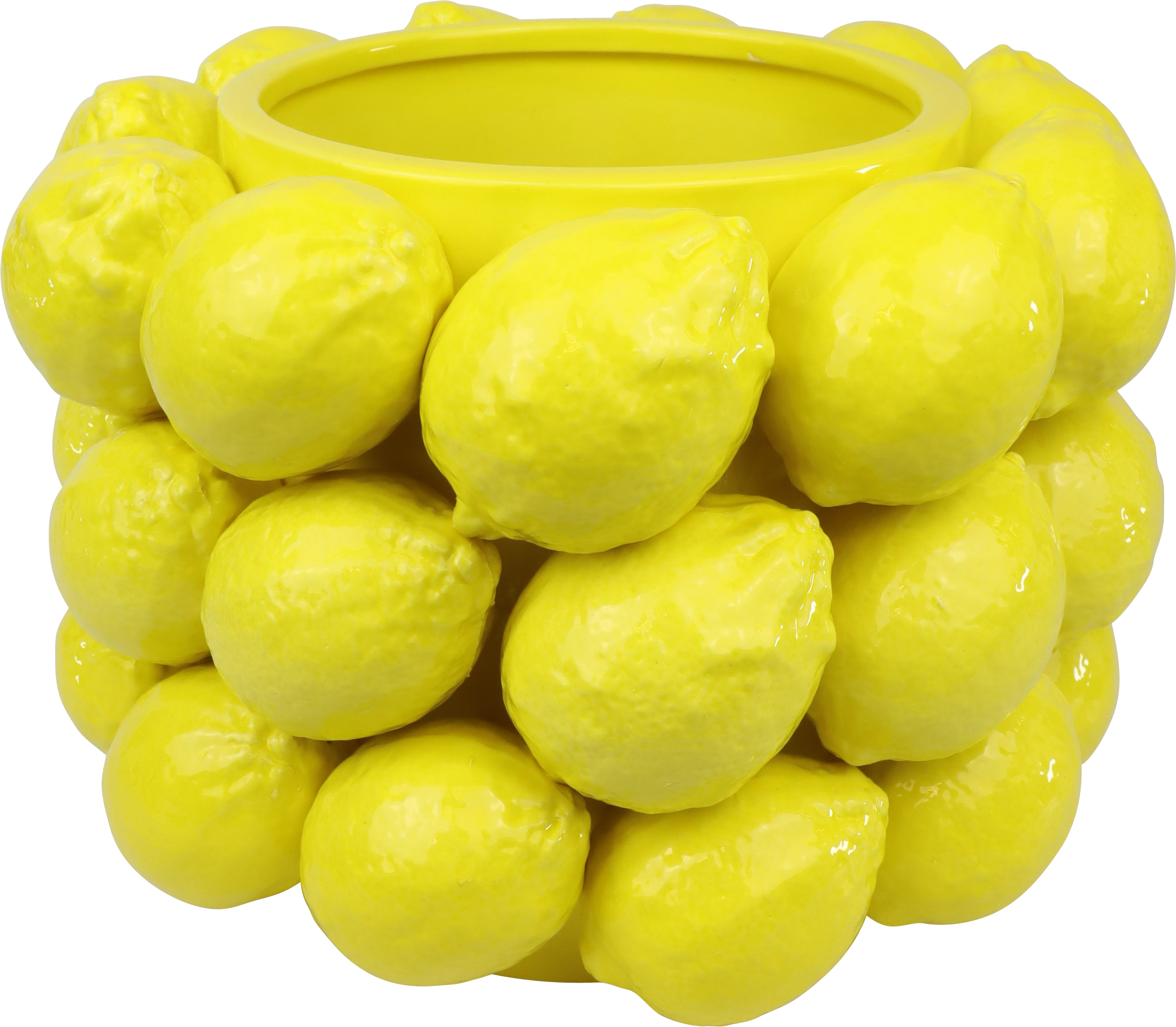 6340 MACETERO  LIMONE