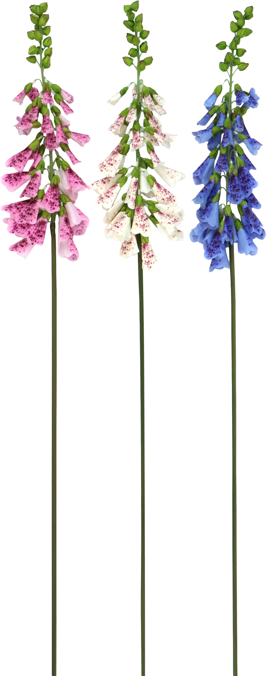 6610 ZIERBLUMEN FINGERHUT  S/3