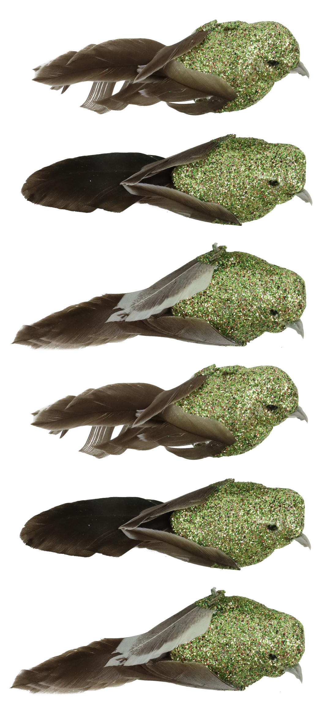 6666 UCCELLI  FEDERSTOLZ  6PZ