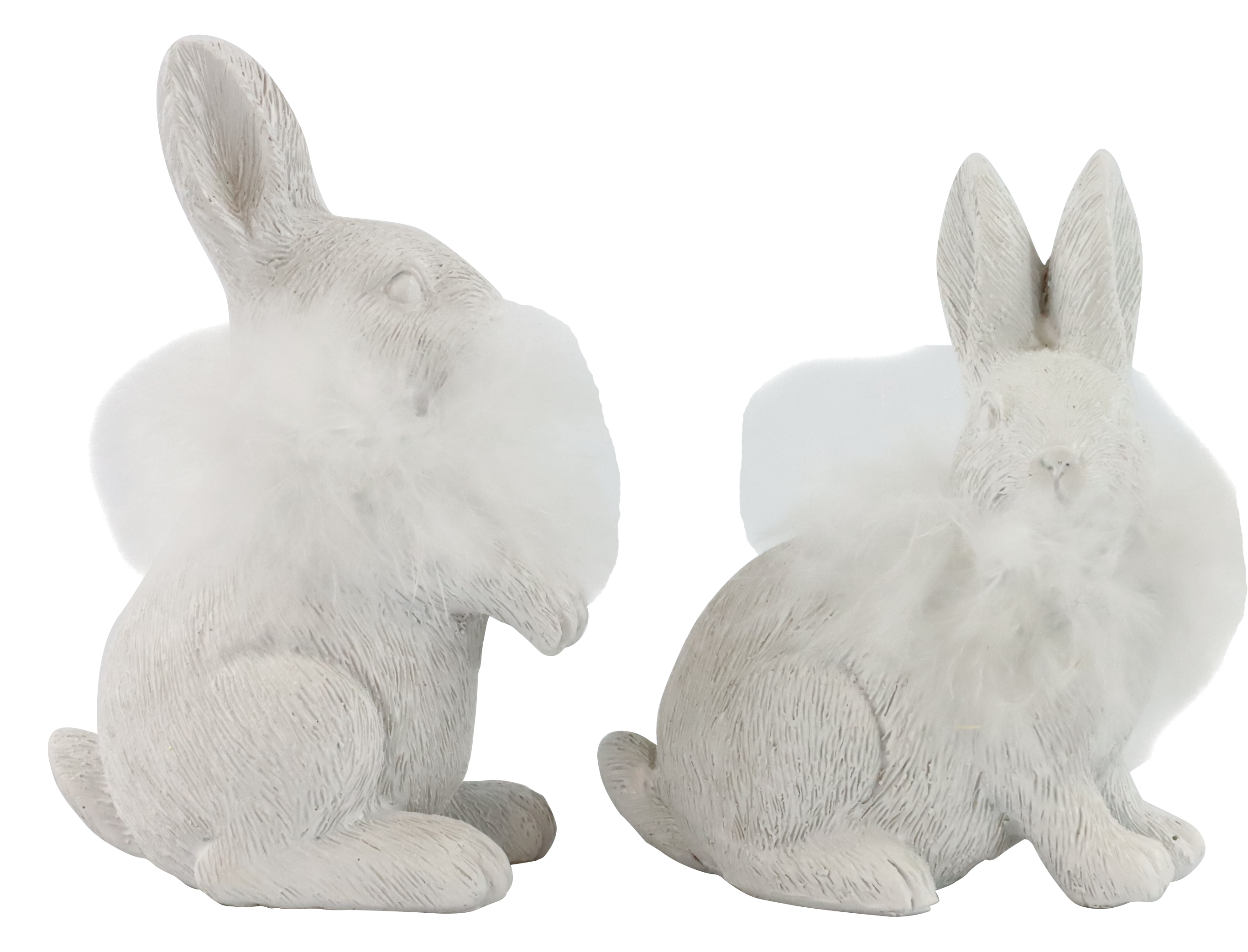 6775 HASEN FEATHERS  S/2