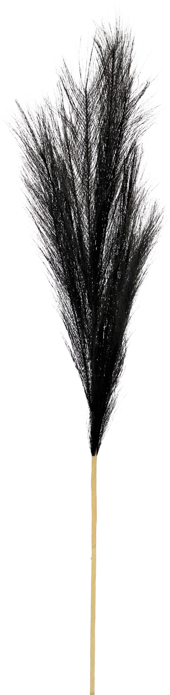 7154 PIUME  SCHWARZ 80CM